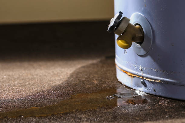 Best Water Damage Assessment and Inspection in Fallbrook, CA